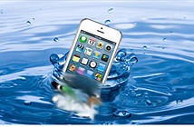 Phải làm gì nếu iPhone bị rơi xuống nước?