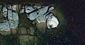 Google Earth phát hiện sinh vật khổng lồ ở ngoài khơi Mexico Google Earth phát hiện sinh vật khổng lồ ở ngoài khơi Mexico