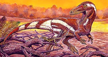 Khai thác đá, đụng độ tổ tiên "quái thú" không cánh và hung ác của loài chim Khai thác đá, đụng độ tổ tiên "quái thú" không cánh và hung ác của loài chim