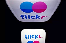 SmugMug kêu gọi người dùng đăng ký thuê bao để cứu Flickr