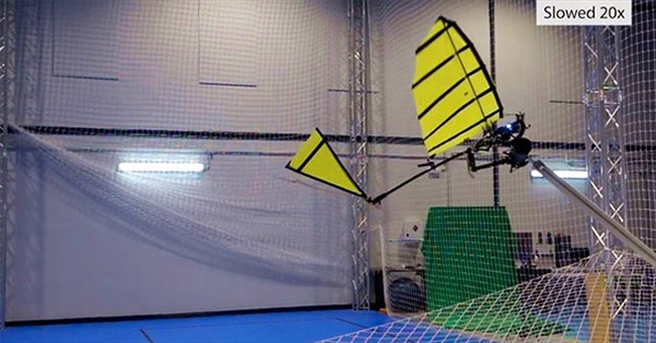 Robot bay vỗ cánh có thể đậu xuống thanh ngang bằng móng vuốt như chim