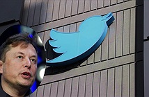 Musk bán đấu giá logo Twitter