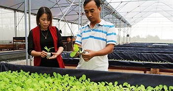 Đòn bẩy để kinh tế Bắc Giang tăng trưởng bền vững
