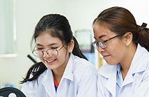 Tra cứu điểm thi THPT 2022 ở Nghệ An như thế nào?