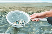 Phát hiện gây shock: Lượng nhựa trên đại dương lớn hơn con số được ước tính đến cả triệu lần