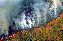 Rừng Amazon cháy lớn, từ trên quỹ đạo cũng nhìn được khói