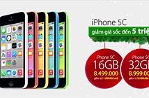 FPT Shop hạ giá bán iPhone 5C tới 5 triệu đồng