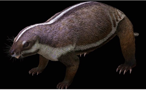 Hãi hùng con thú điên nguyên vẹn 66 triệu tuổi