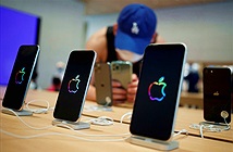 Lý do Apple tránh được làn sóng sa thải