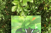 Các loài bướm vườn quốc gia Cát Bà
