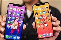 iPhone 2019 chưa ra, Apple đã tìm cách giảm chi phí cho iPhone 2020