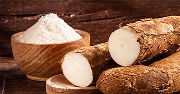 Quy trình chế biến tinh bột sắn từ củ sắn Quy trình chế biến tinh bột sắn từ củ sắn