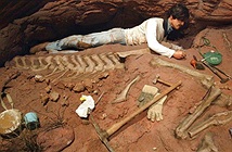 Phát hiện hóa thạch khủng long khổng lồ tại Argentina