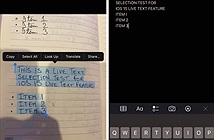 Cách dùng Live Text trên iOS 15 để sao chép văn bản trong ảnh