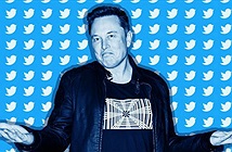 Không chờ Elon Musk đuổi, hàng trăm nhân viên Twitter đã sang làm việc cho Meta và Google