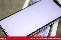 iPhone núp bóng… Bphone, bán giá trên trời dưới đất