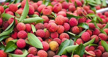 13 lợi ích tuyệt vời của quả vải đối với sức khỏe và sắc đẹp 13 lợi ích tuyệt vời của quả vải đối với sức khỏe và sắc đẹp