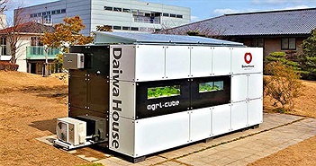 Agri-Cube - Container công nghệ giúp tăng năng suất trồng rau thủy sinh ở thành phố Agri-Cube - Container công nghệ giúp tăng năng suất trồng rau thủy sinh ở thành phố